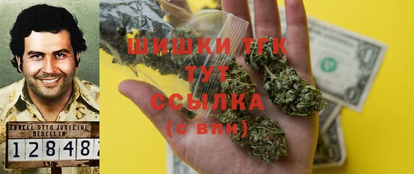 ECSTASY Алзамай