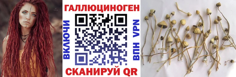 где купить наркоту  Дзержинский  Псилоцибиновые грибы ЛСД 