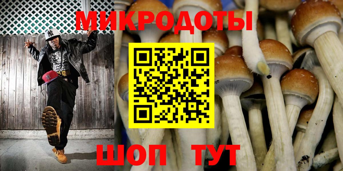 цены наркотик  Псилоцибиновые грибы Psilocybe  Вход с VPN  Галлюциногенные грибы Cubensis  Дзержинский 