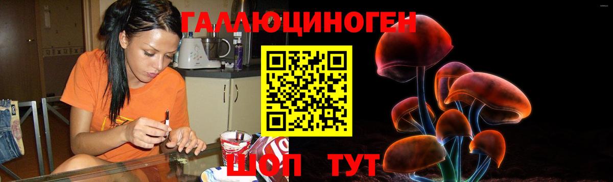 Галлюциногенные грибы прущие грибы Дзержинский